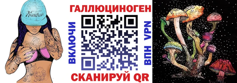 Галлюциногенные грибы Magic Shrooms  MEGA tor  Гаврилов-Ям 